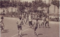 FOT-0181