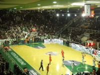 Avellino