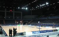 Vector Arena